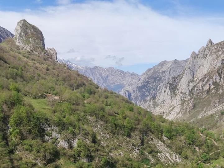 Vila La Casina De Tielve De Cabrales Dentro Del Parque Nacional Picos De Europa Exteriér fotografie