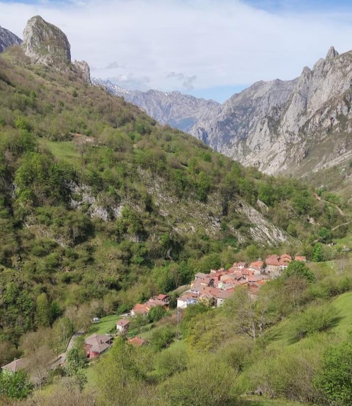 Vila La Casina De Tielve De Cabrales Dentro Del Parque Nacional Picos De Europa Exteriér fotografie